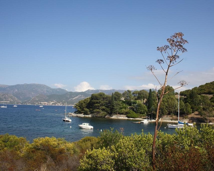 Saint-Florent, frankrike