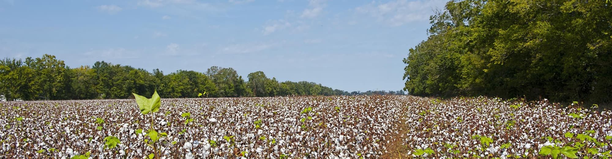 Alexandria LA, Stati Uniti d'America