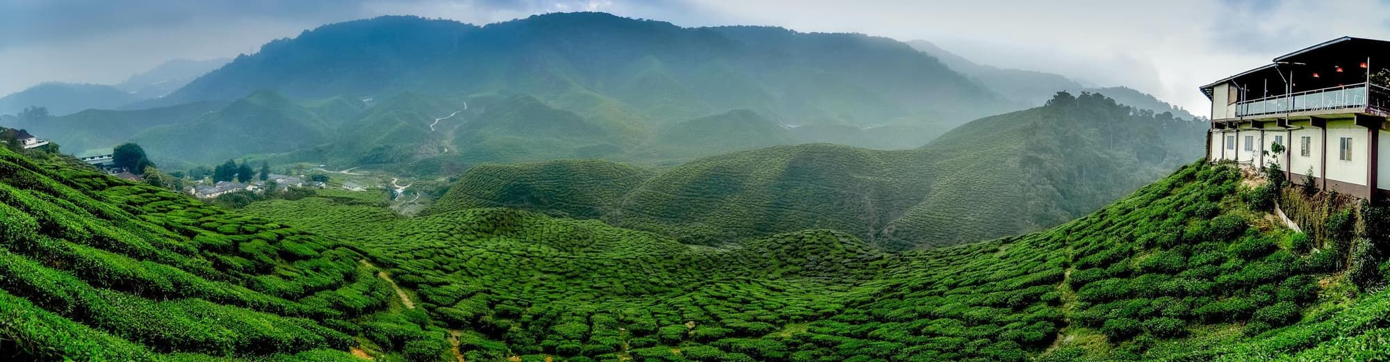 Cameron Highlands, Malaysia