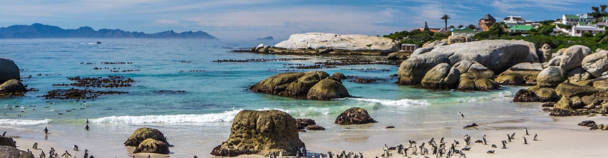 Boulders Beach, South Africa