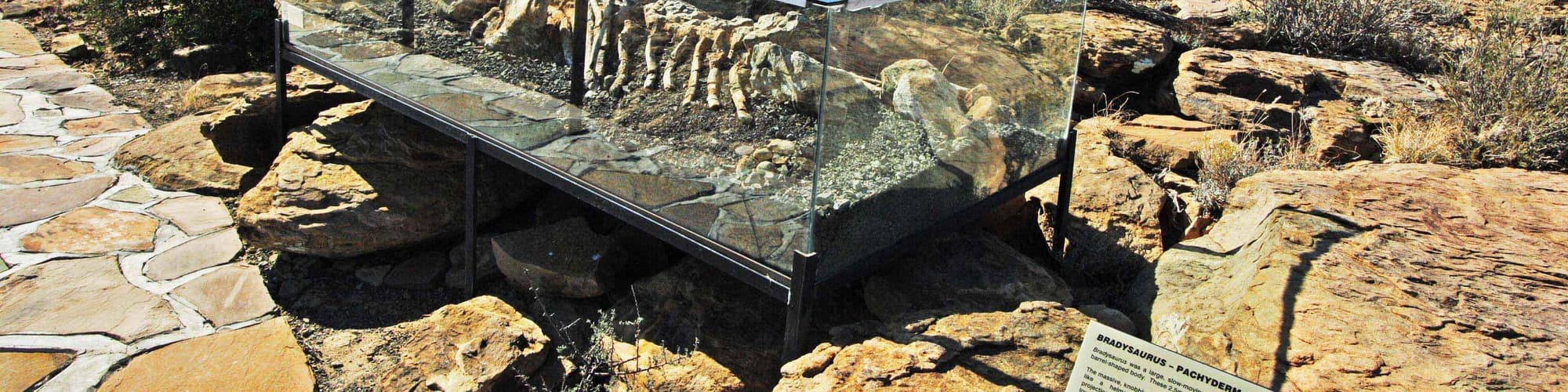 Great Karoo, South Africa