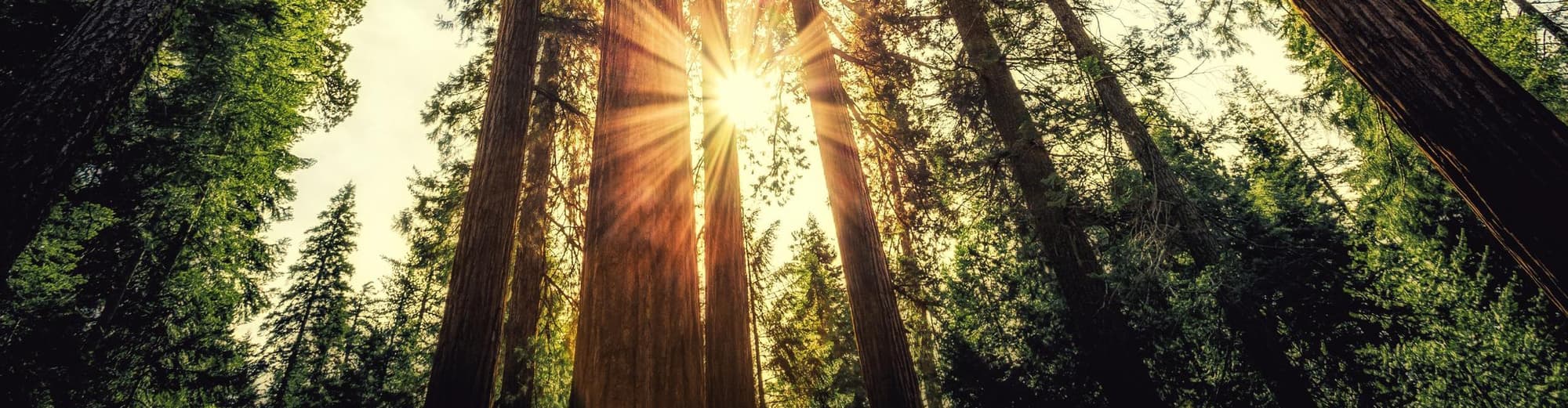 Mariposa, Verenigde Staten