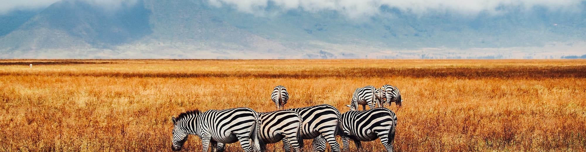 Ngorongoro, Τανζανία