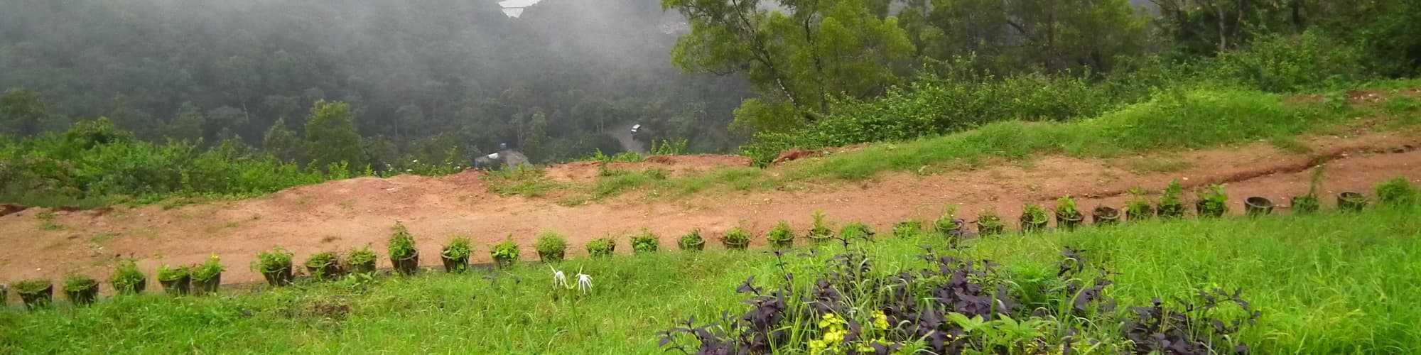 ماديكيري, الهند