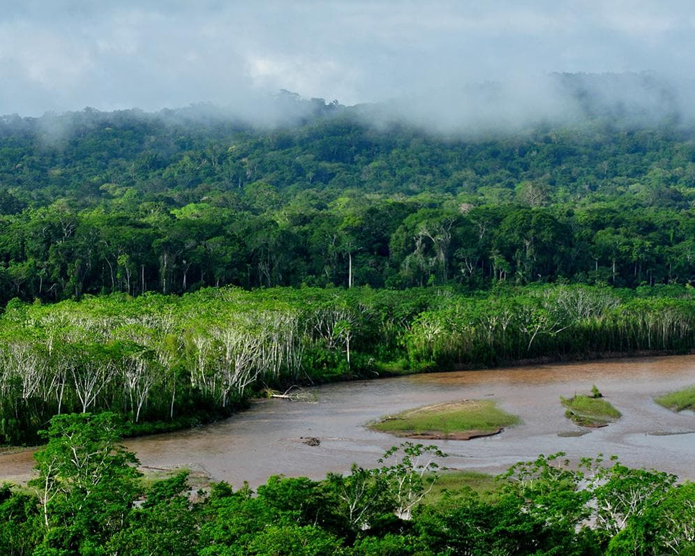 Madidi National Park, Bolivia