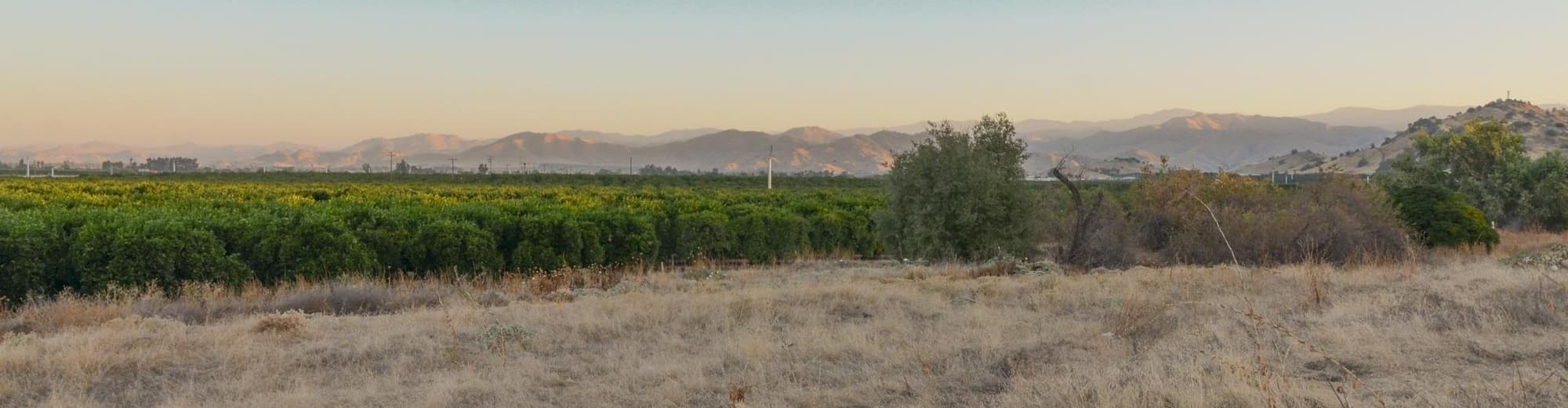 Visalia CA, United States of America