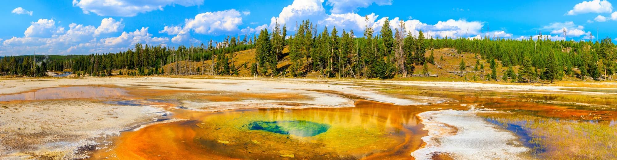 Yellowstone National Park WY, United States of America