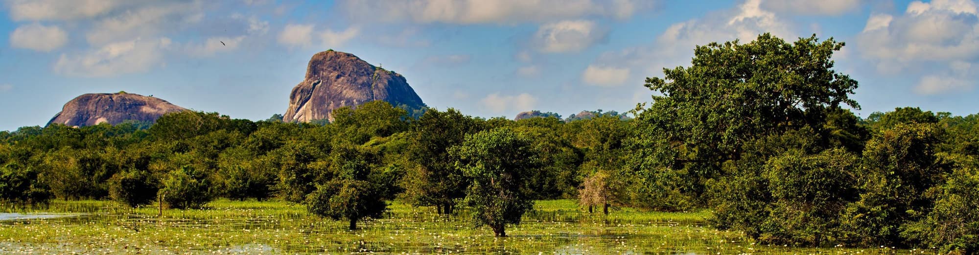 Yala National Park, Sri Lanka
