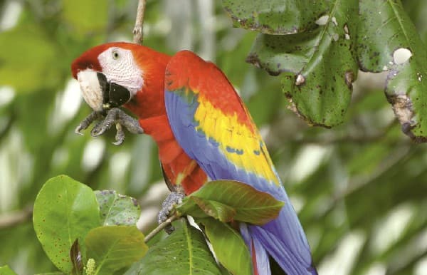 Rundreise "Pazifiktour"