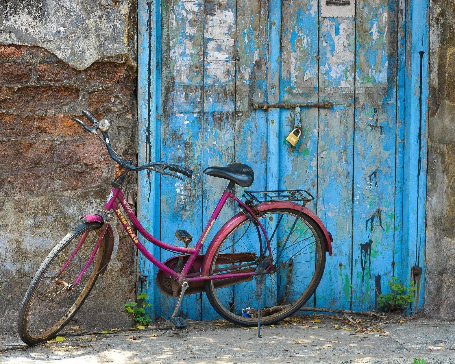 Private Kurztour "Kerala kompakt – Zwischen Teegenuss und Tradition"