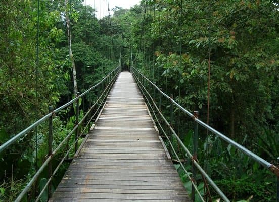 Rundreise "Höhepunkte Costa Ricas" (ab/an San José)