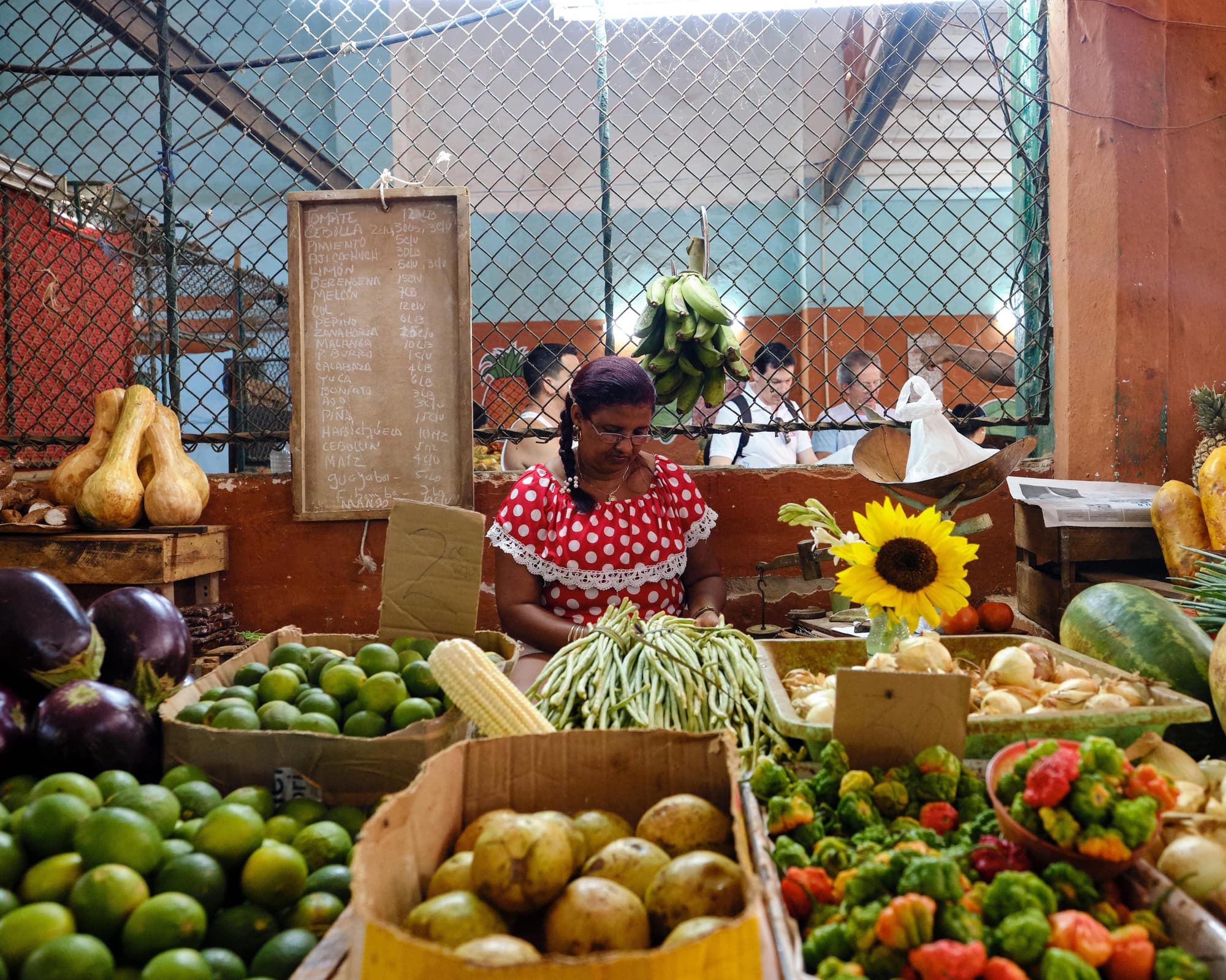 Rundreise "La Vida Real"