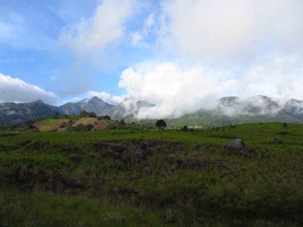 Rundreise "Best of Panama" (Panama City/Bocas del Toro)