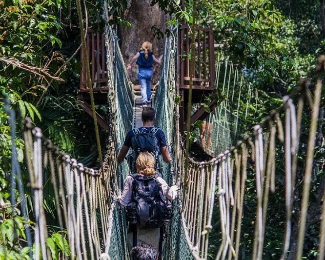 Kurztour "3 Tage Taman Negara"