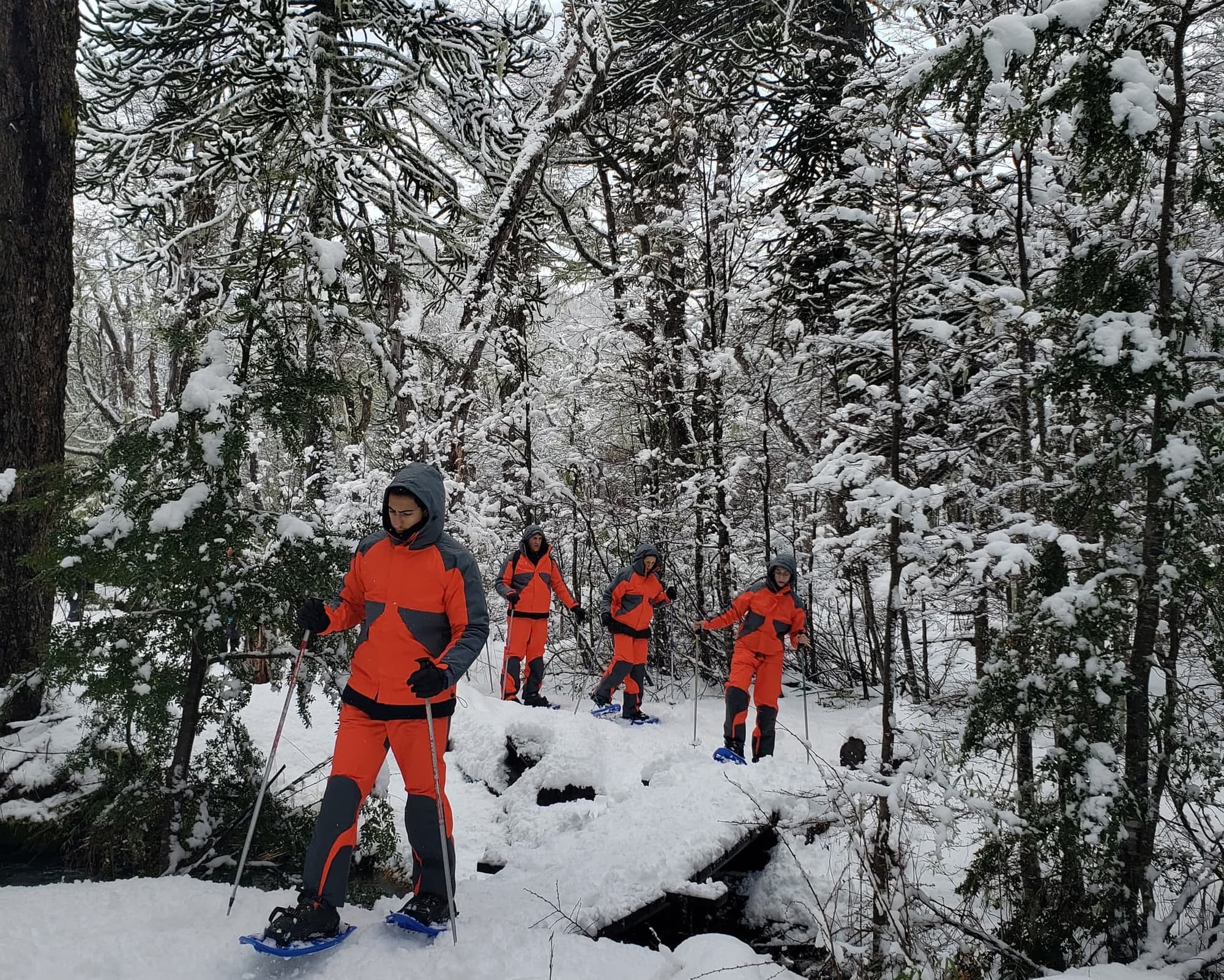 Bloqueo Pucón Termal Vía SKY - Hotel Vientos del Sur