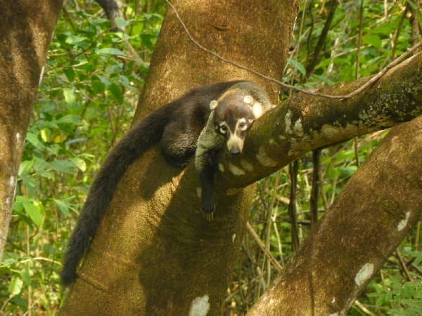 Rundreise "Pazifiktour"