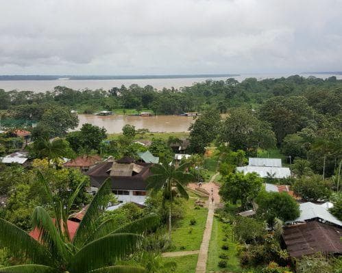 Plan Arapaima Casa Sobre Los Árboles
