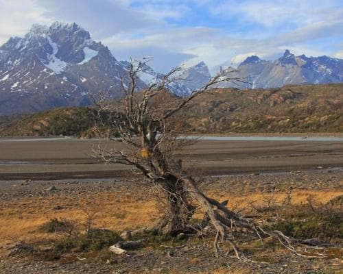 Rundreise "Chile - Land der Extreme"
