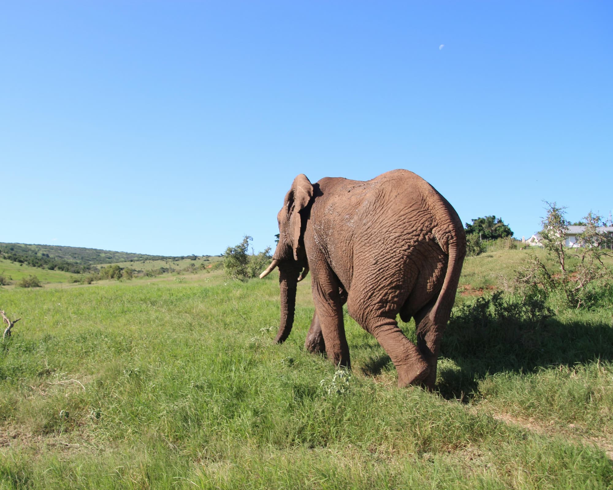 Kurztour "Klein Karoo und Garden Route"