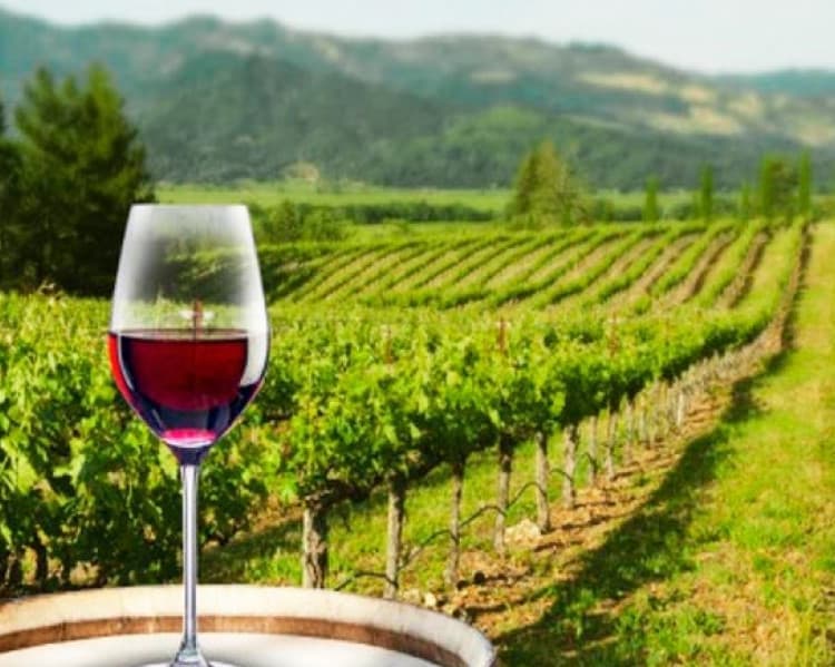 Carnaval 2026 - Comadres Tarija