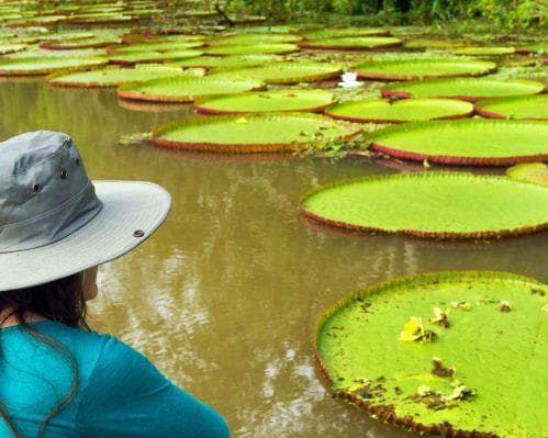 Conociendo el Amazonas