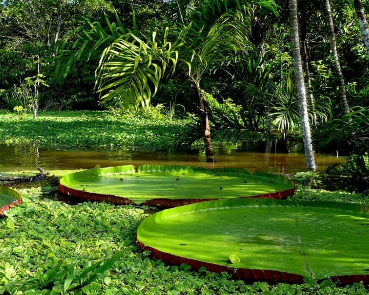 Eco Aventura 4D / 3N