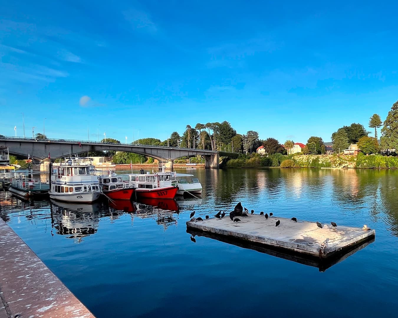 Bloqueo Valdivia 05 Noches Vía SKY - Hotel Melillanca