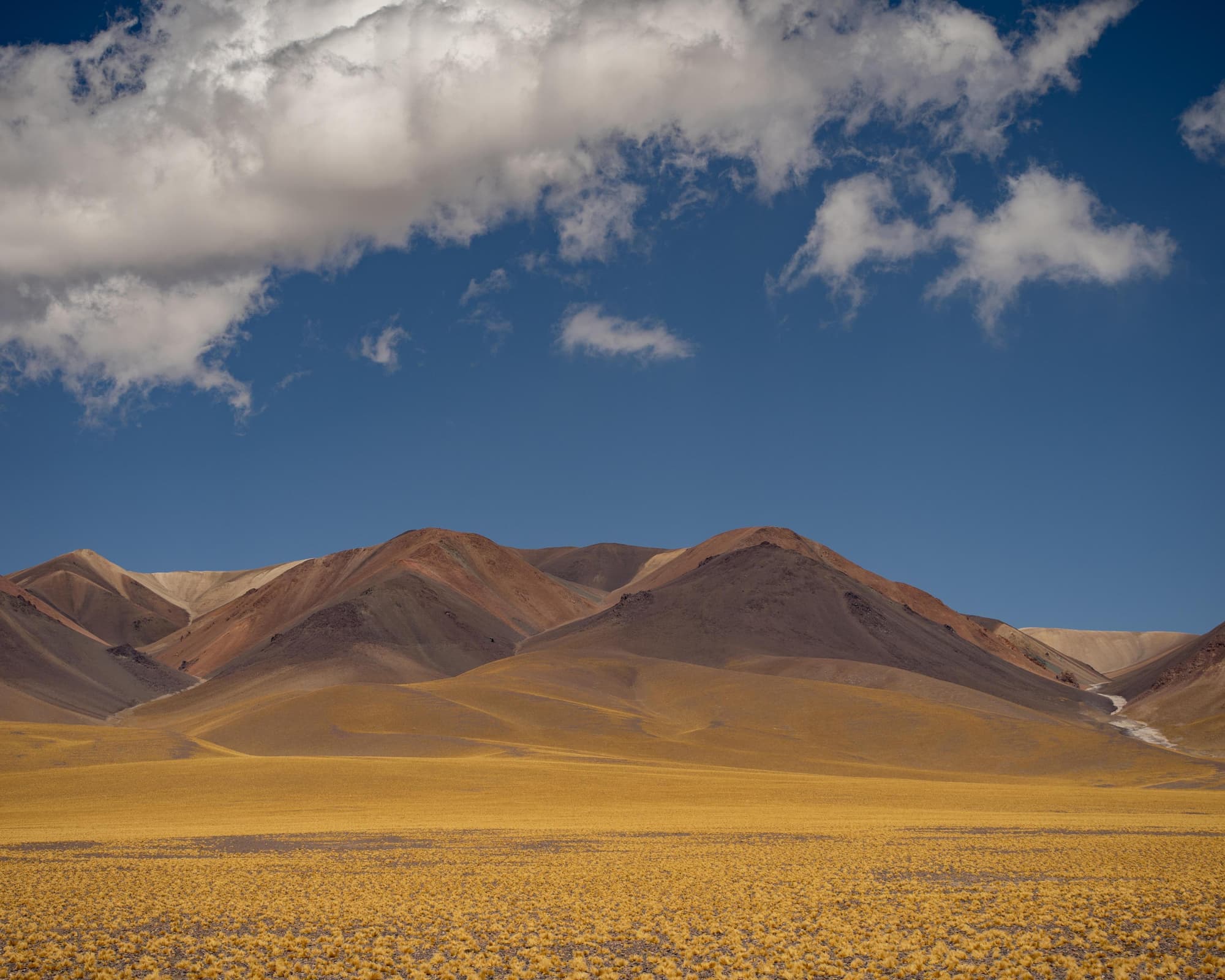 Programa Catamarca: Fiambalá y Campo de Piedra Pómez