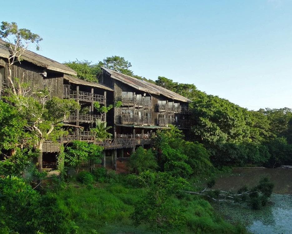 Safari "Savanne & Regenwald"