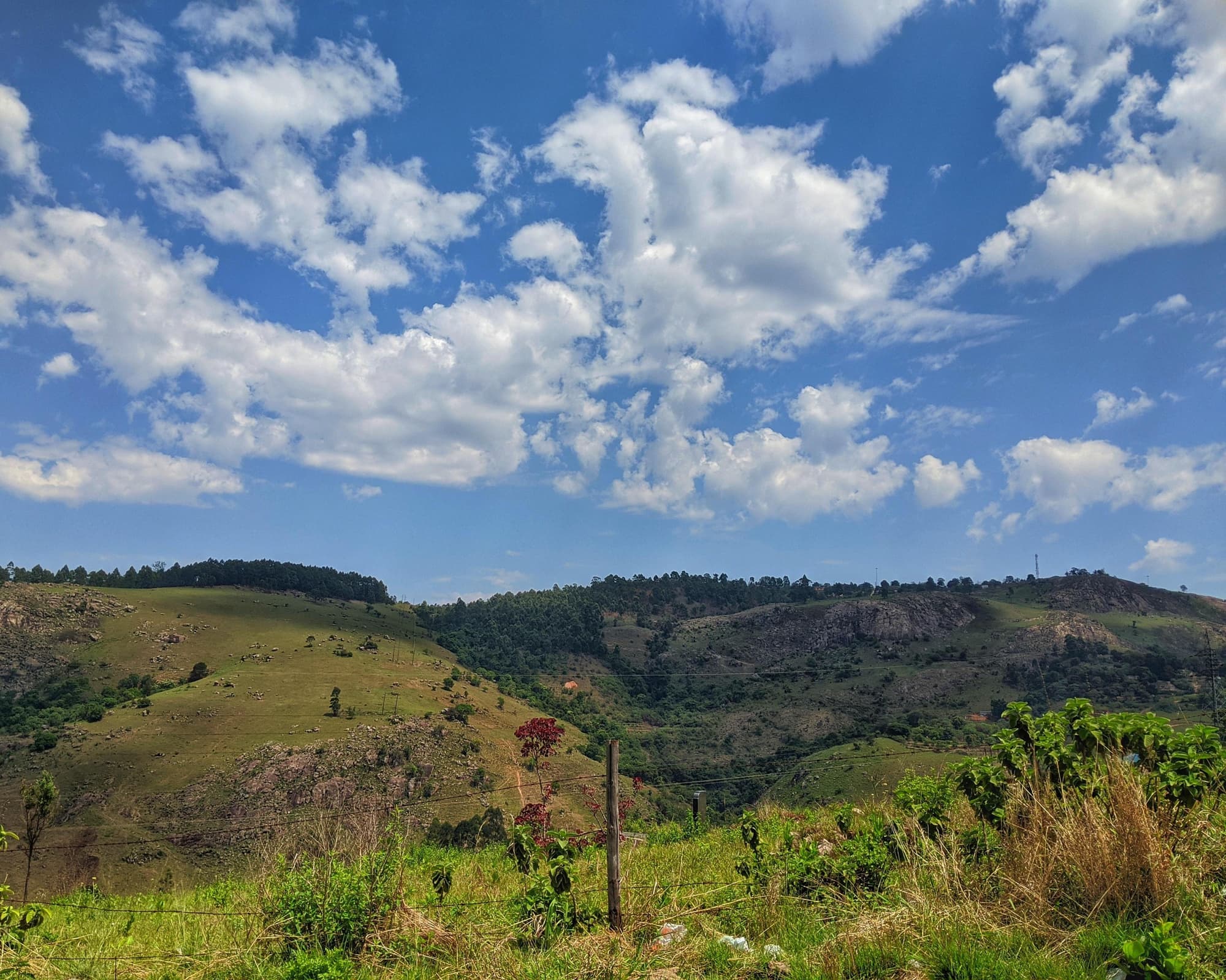 Safari "Südafrikas Wildparks"
