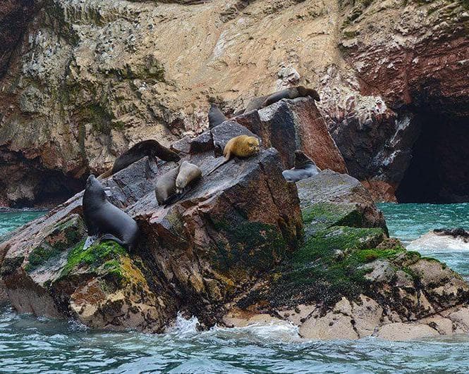 Ica y Huacachina 03 Días / 02 Noches