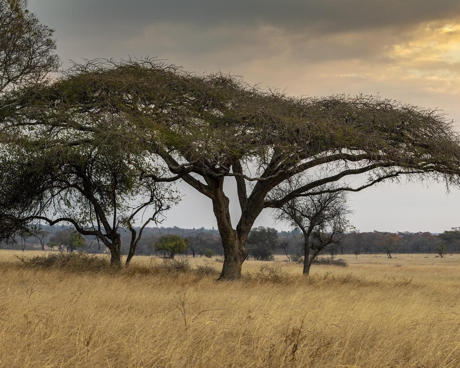 2 notti Victoria Falls