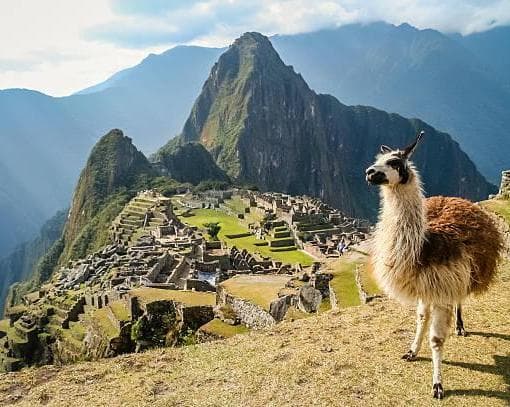 CUSCO DE LOCURA | 4D-3N (Hoteles 3 *)