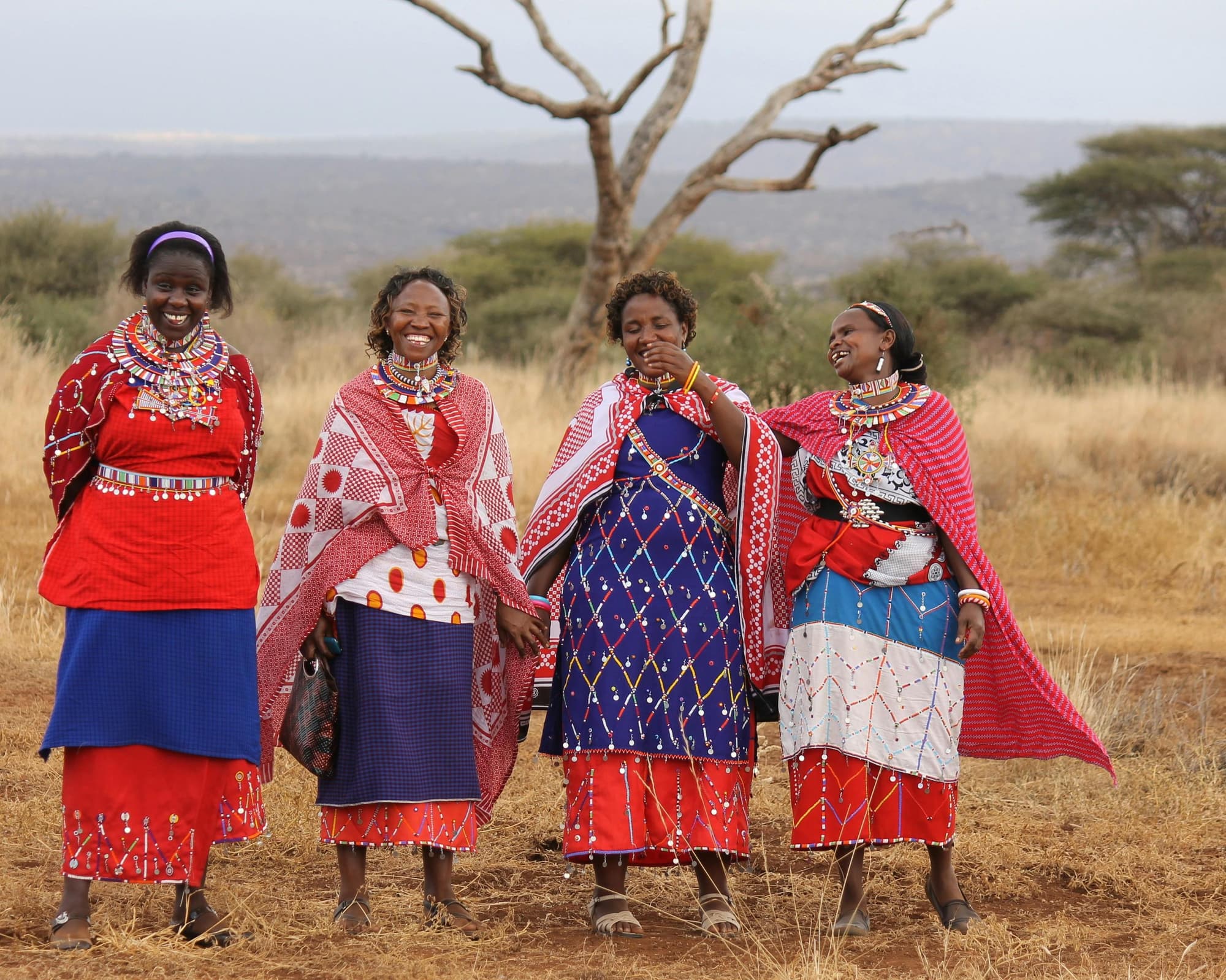 Safari "8 Tage Safari Abenteuer" (ab/bis Mombasa)