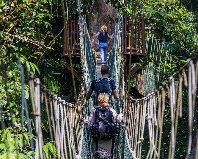 Kurztour "4 Tage Taman Negara"