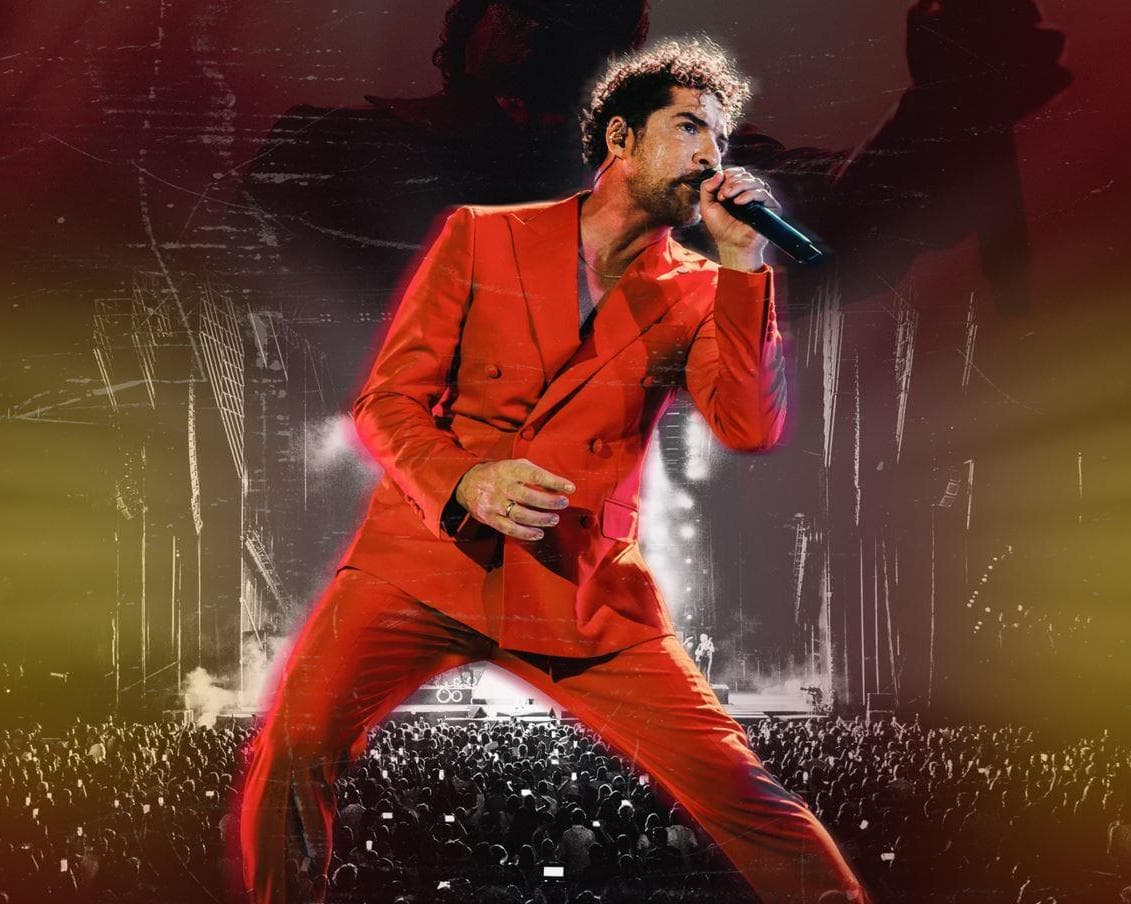 Concierto de David Bisbal 