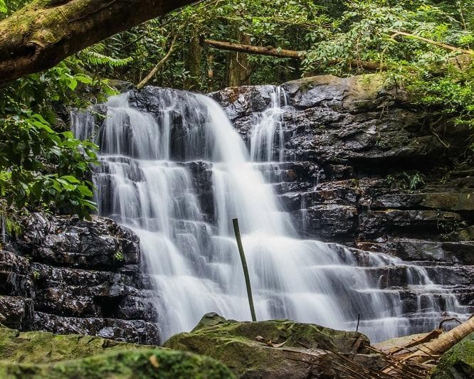 Kurztour "3 Tage Taman Negara"