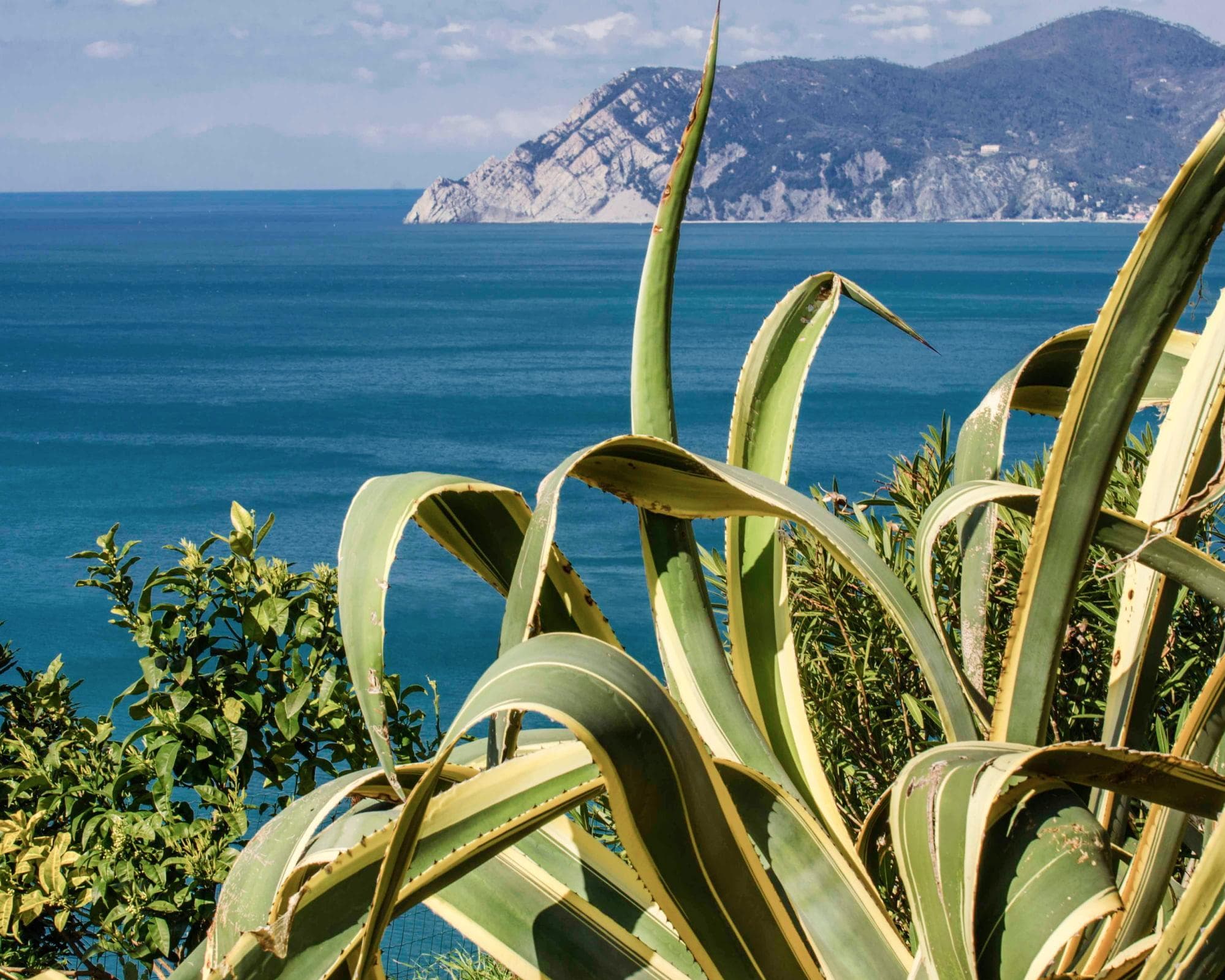 I tesori delle Cinque Terre 