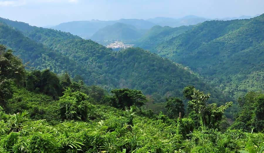 Kurztour "Khao Yai Nationalpark"