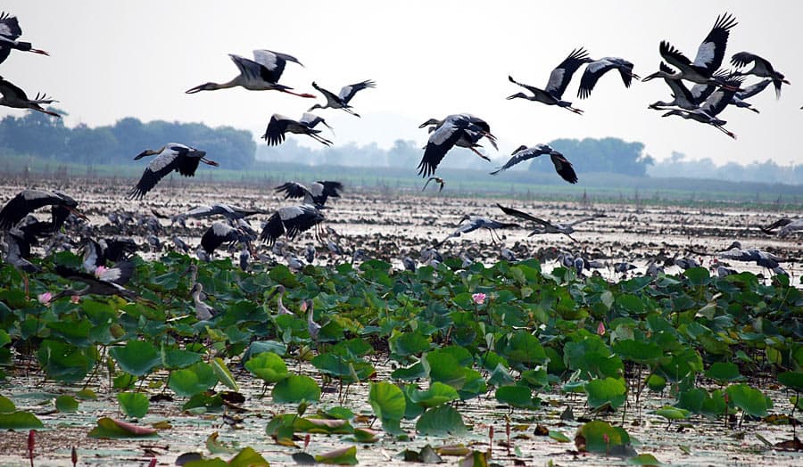 Private Kurztour "Unentdecktes Zentralthailand"