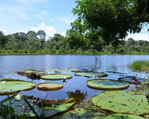 Plan churuco Amazonas biohotel