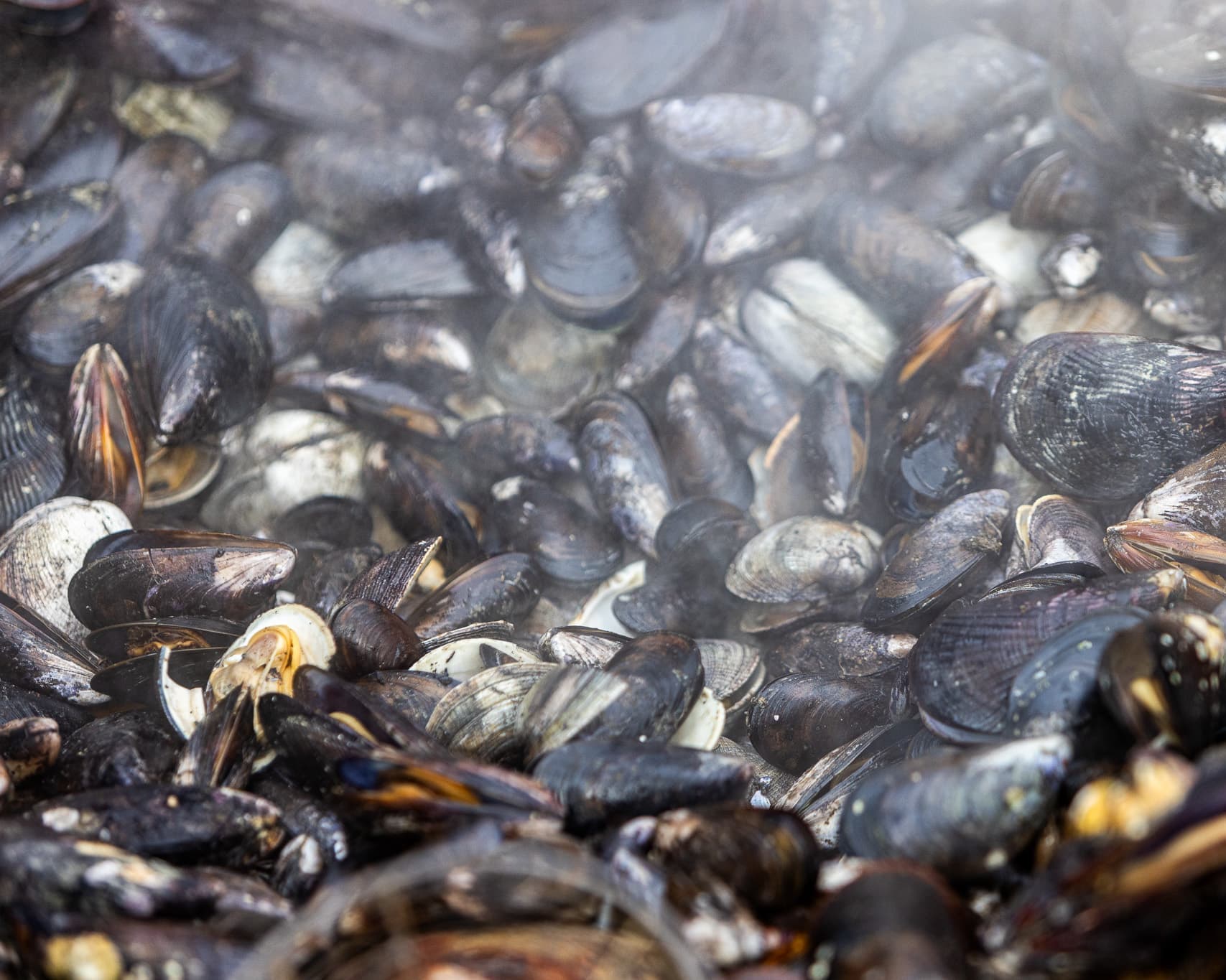Black - Bloqueo Chiloé 05 Noches Vía SKY - Hotel de Castro