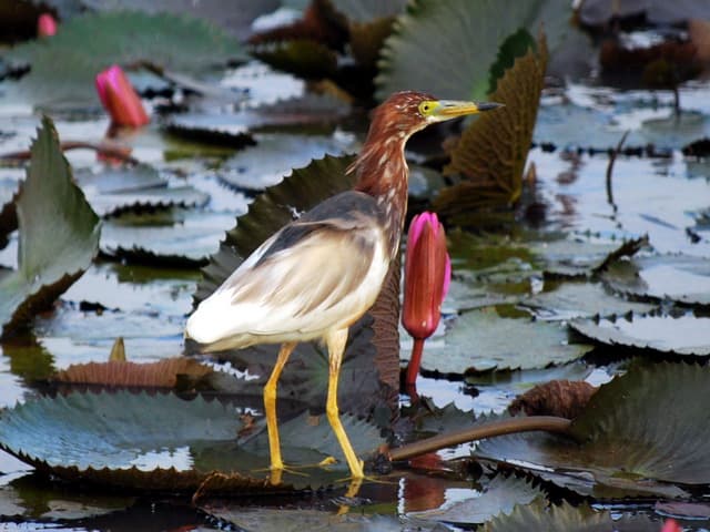 Private Kurztour "Unentdecktes Zentralthailand"