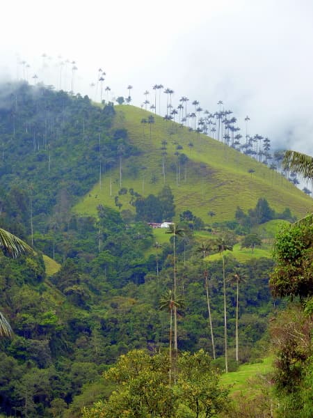 Faszination Kolumbien Rundreise (Bogota/Cartagena)