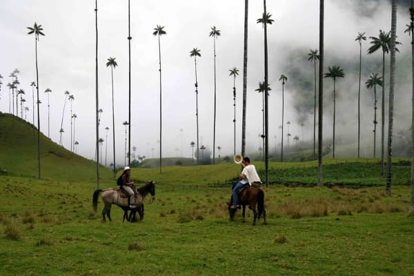 Faszination Kolumbien Rundreise (Bogota/Cartagena)