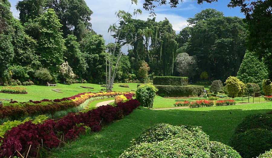 Private Kurztour "Die Höhepunkte im Kulturdreieck"