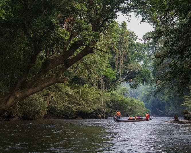 Kurztour "4 Tage Taman Negara"