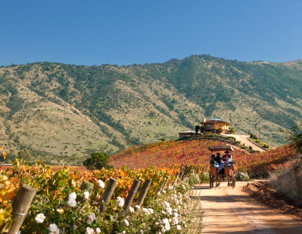 Rundreise "Chile - Land der Extreme"