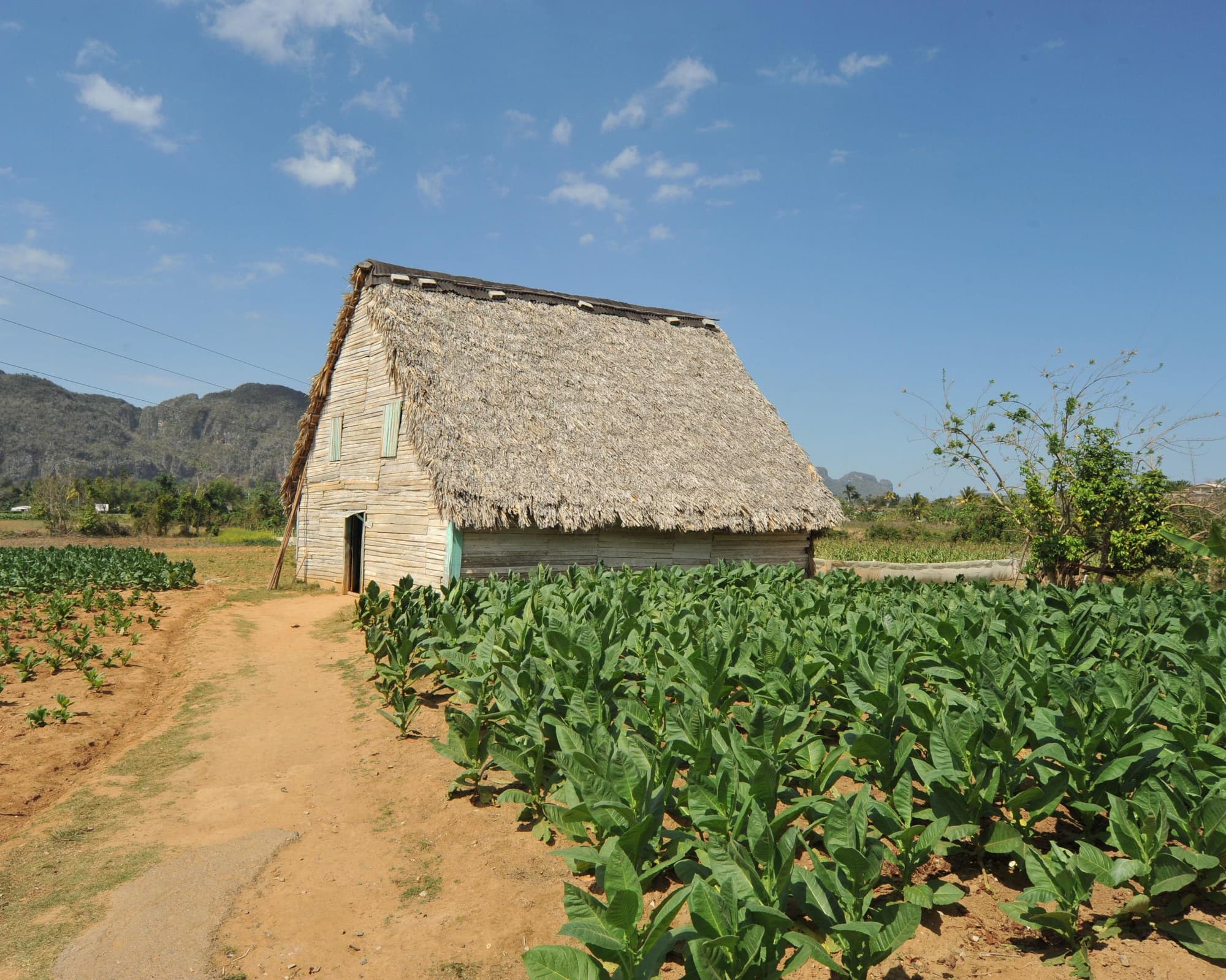Rundreise "Portrait einer Insel"