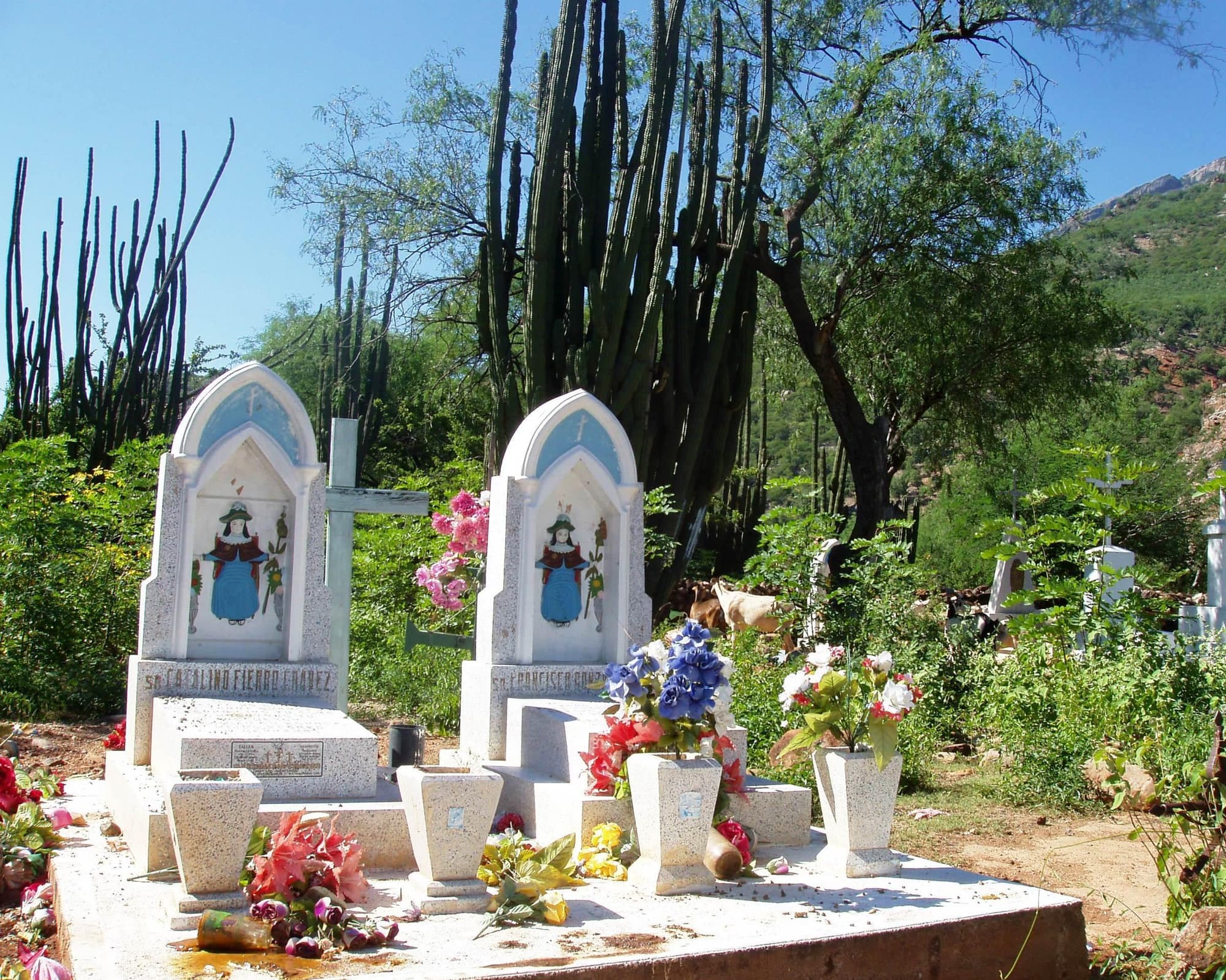 Rundreise "Kupferschluchten von Chihuahua" (inkl. Chepe Express)